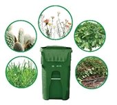 Image of green cart and yard trimmings