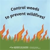 Control Weeds Image