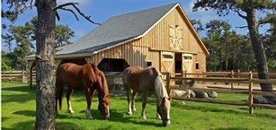 Image of barn with horses grazing in front