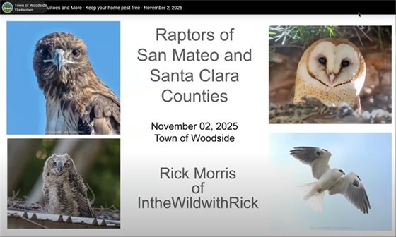 Screenshot of Rodents, Mosquitoes and More YouTube Recording