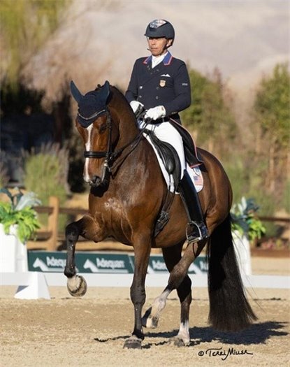 Photo of horse doing dressage