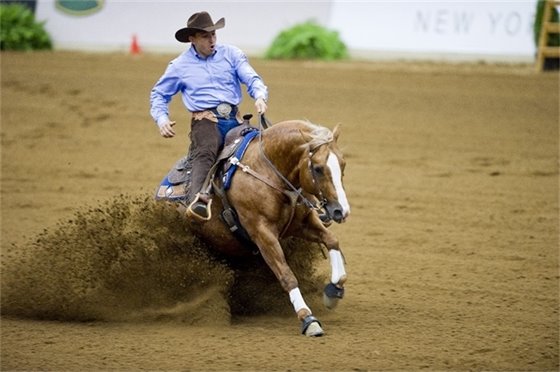 Photo of Rider Reining and Cutting
