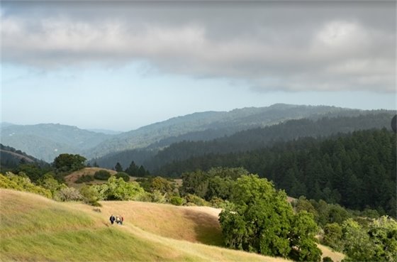 Photo of POST Open Space