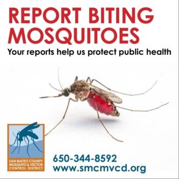 Image of Mosquito with text Report Biting Mosquitos