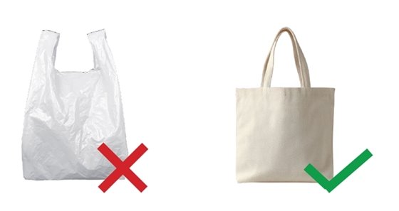 Plastic Bag with a Red X and Canvas Bag with a Green Checkmark
