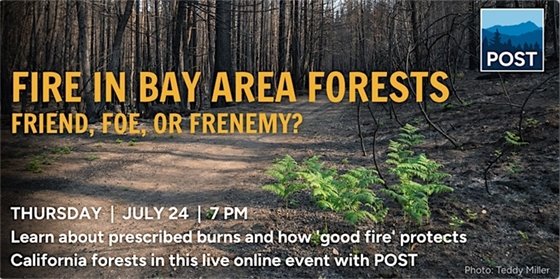 POST Event Flyer - Fire in Bay Area Forests