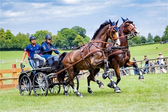 Photo of Scott and Kathi Dancer driving carriage