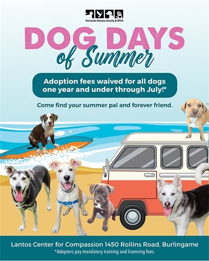 Dog Adoption Flyer - Peninsula Humane Society and SPCA