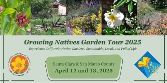 Going Native Garden Tour Flyer