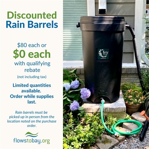 Flows to Bay Rain barrel Offer