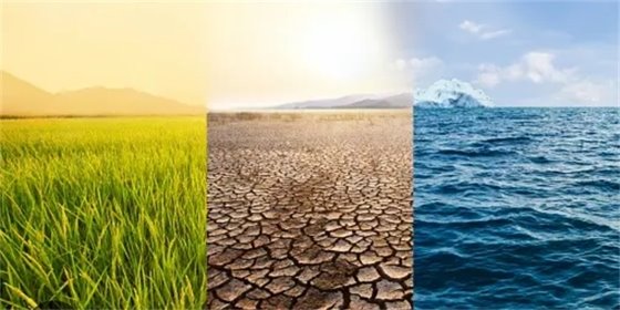 Image of Grass Desert and Sea