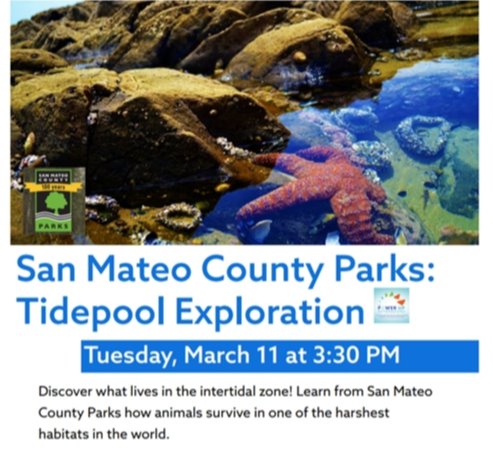 Tidepool Exploration Event Flyer