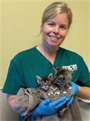 Photo of Vet Tech holding three adorable kittens