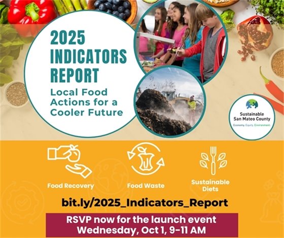 Flyer - SSMC Indicators Report Launch