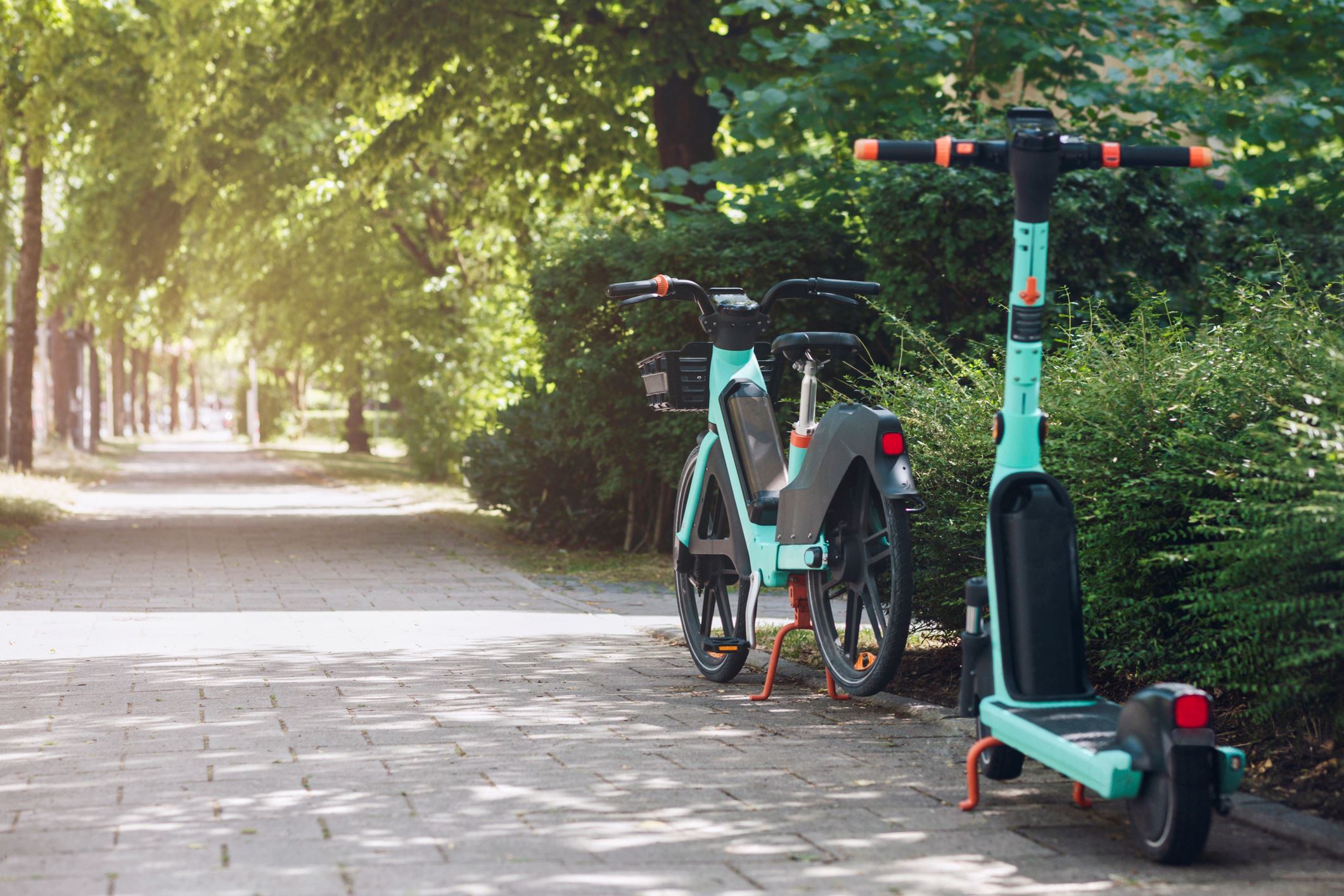 Electric Bicycle and Electric Scooter (JPG)